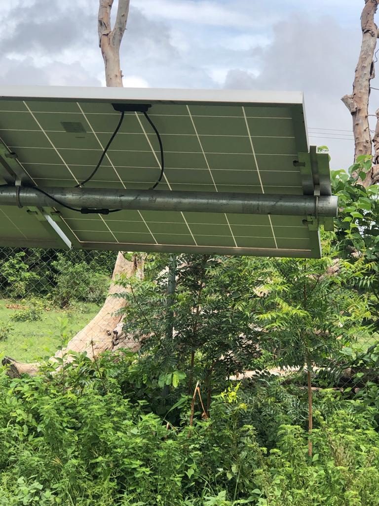 Solar irrigation