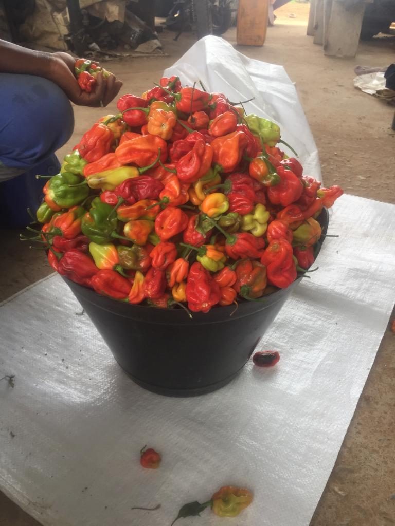 Peppers